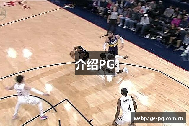 介绍PG